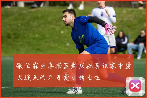张伯霖分享摇篮舞庆祝喜讯家中爱犬迎来两只可爱小狗出生
