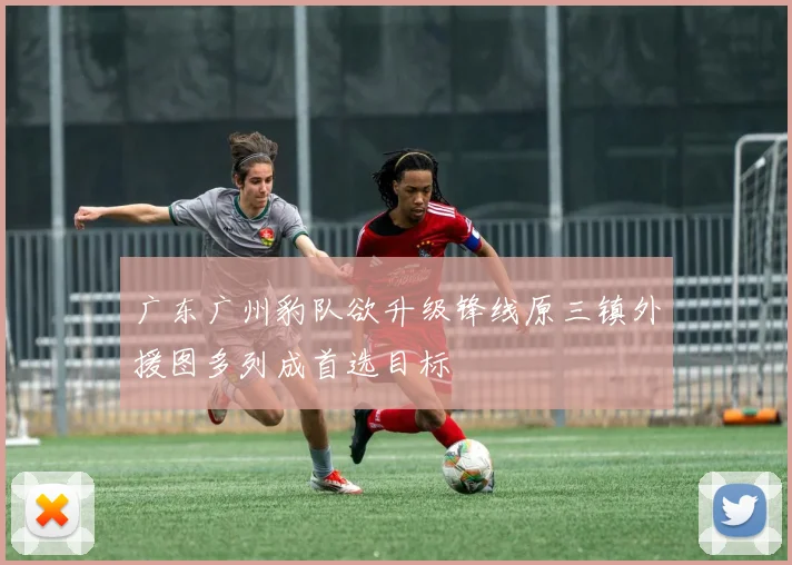 广东广州豹队欲升级锋线原三镇外援图多列成首选目标